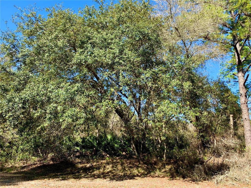 Eustis, FL 32736,Lot 13 APRICOT AVE