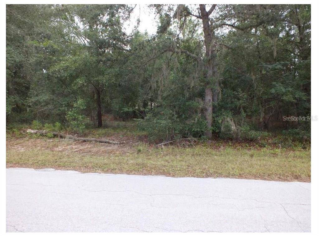 Dunnellon, FL 34433,7451 W LEISURE ST