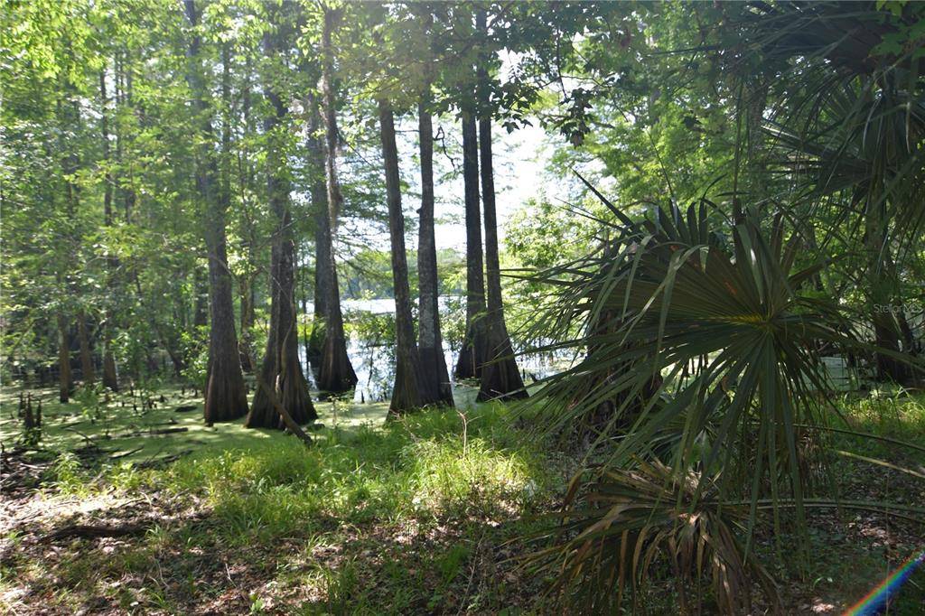 Bushnell, FL 33513,SW 64TH AVE