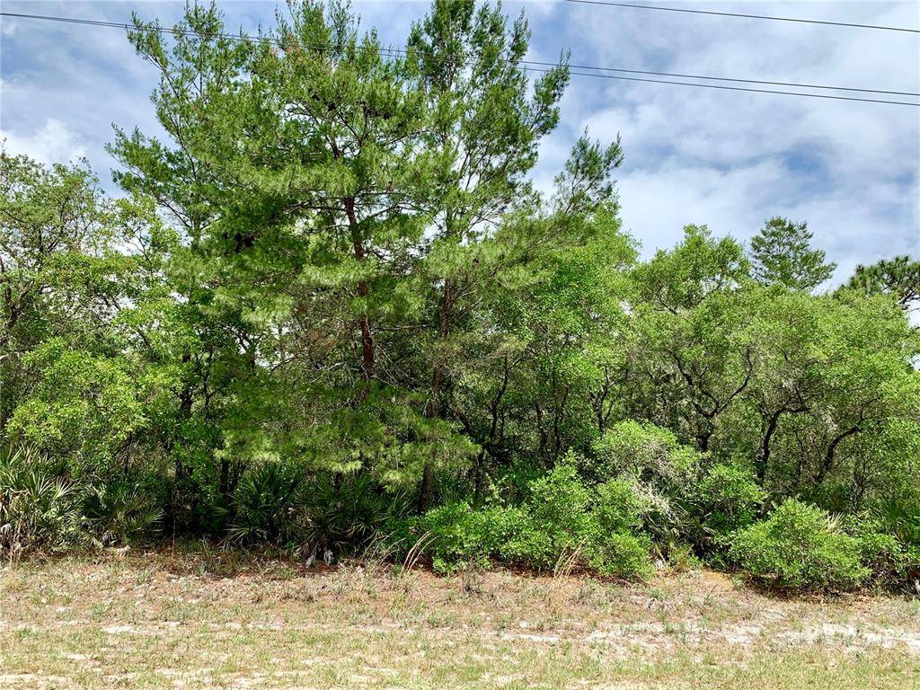 Eustis, FL 32736,Lot 7 ROYAL TRAILS