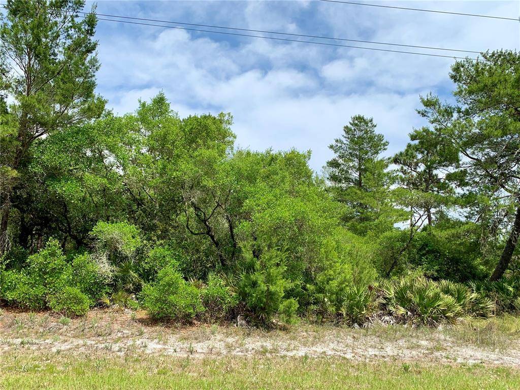 Eustis, FL 32736,Lot 7 ROYAL TRAILS