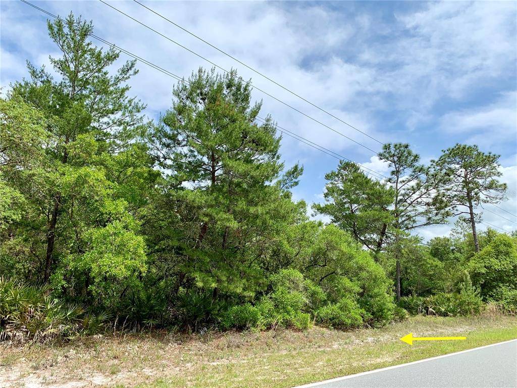 Eustis, FL 32736,Lot 7 ROYAL TRAILS