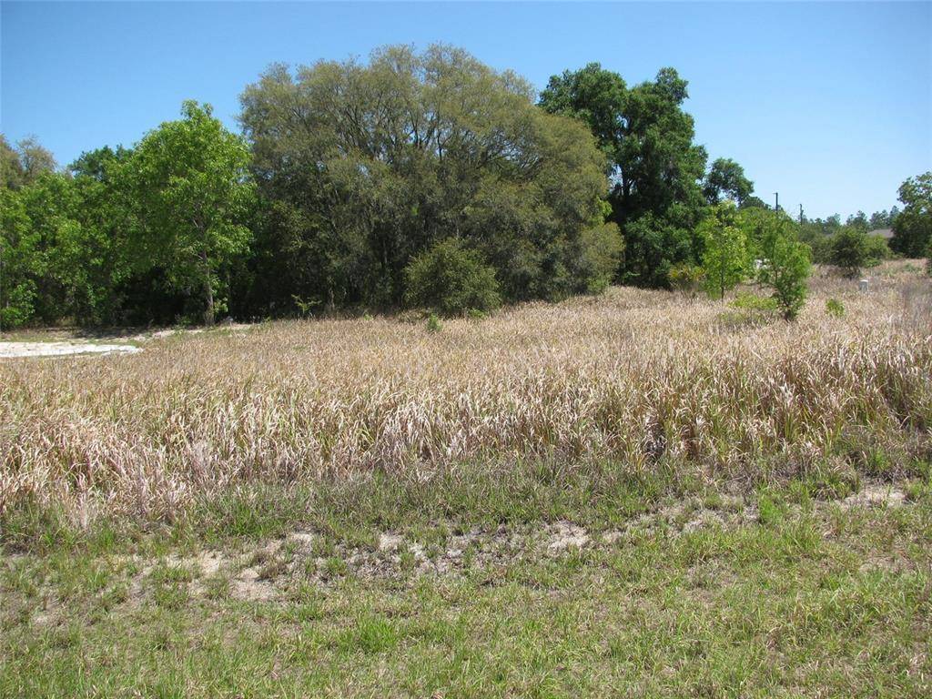 Ocala, FL 34472,TBD LOCUST PASS DR