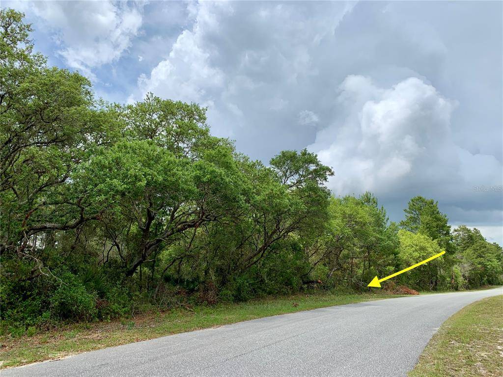 Eustis, FL 32736,LOT 11 PERSIMMON ST