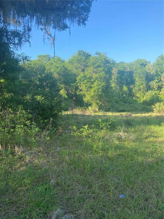 Eustis, FL 32736,38230 INWOODS TRL