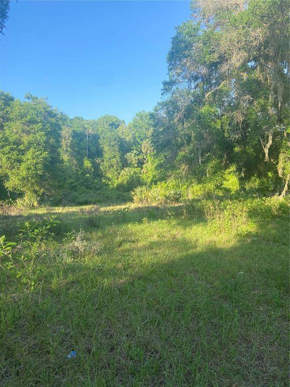 Eustis, FL 32736,38230 INWOODS TRL