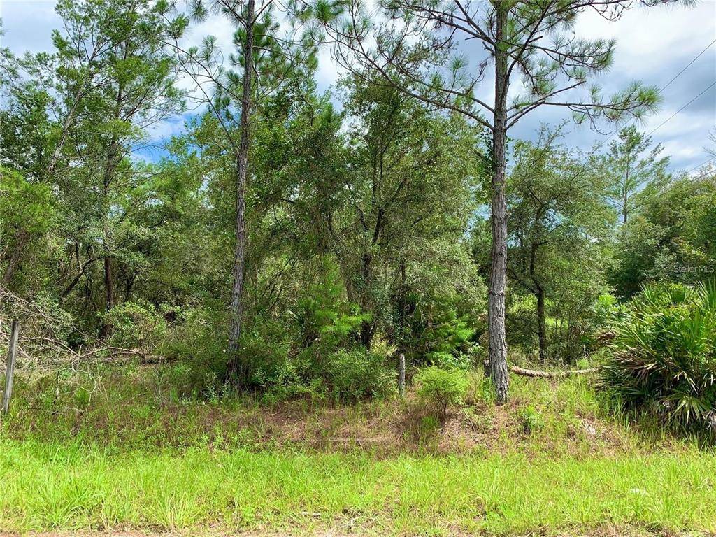 Paisley, FL 32767,TBD VIRGINIA ST