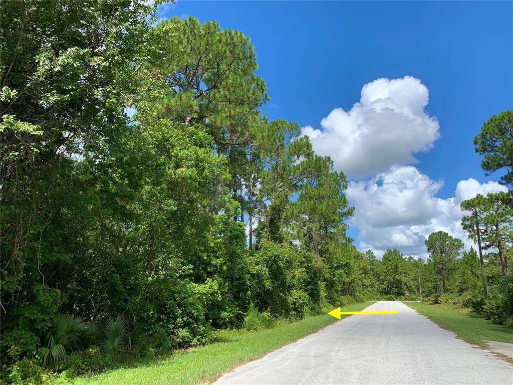 Eustis, FL 32736,Lot 4 TAMARAC ST