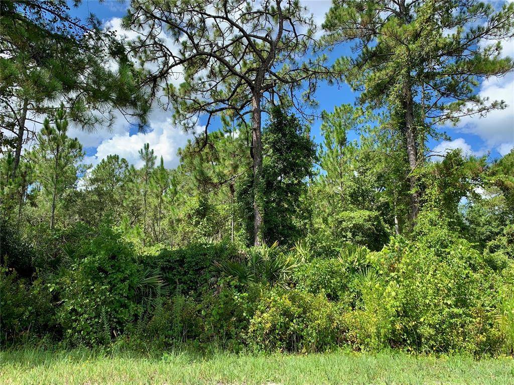 Eustis, FL 32736,Lot 4 TAMARAC ST