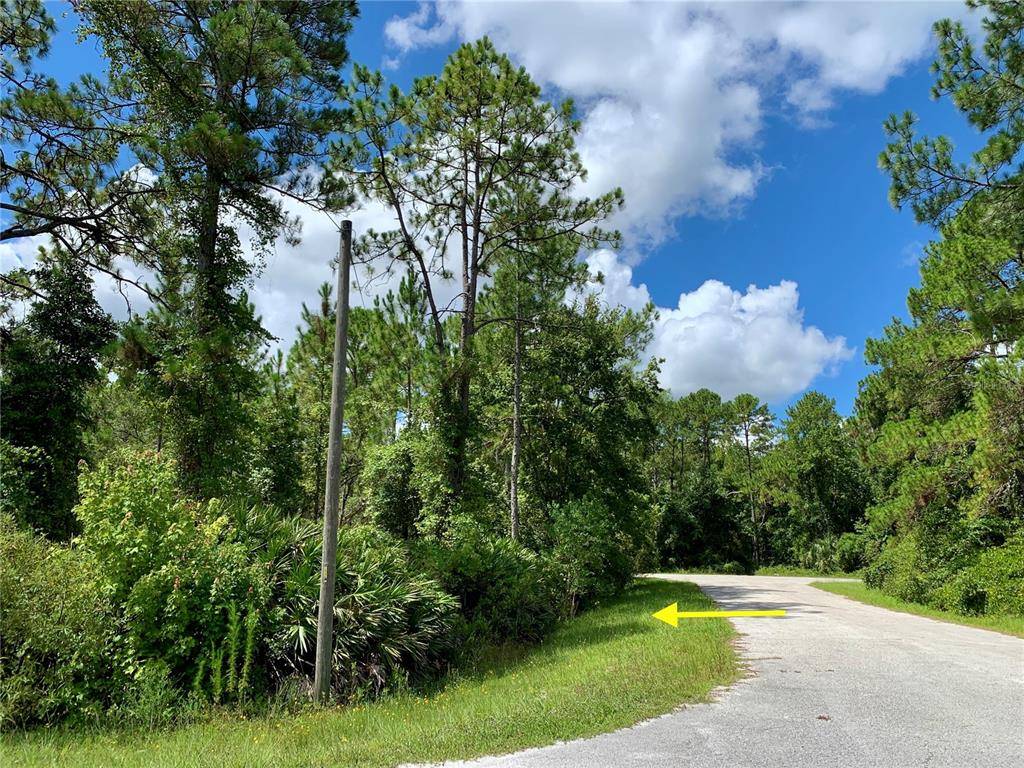 Eustis, FL 32736,Lot 4 TAMARAC ST