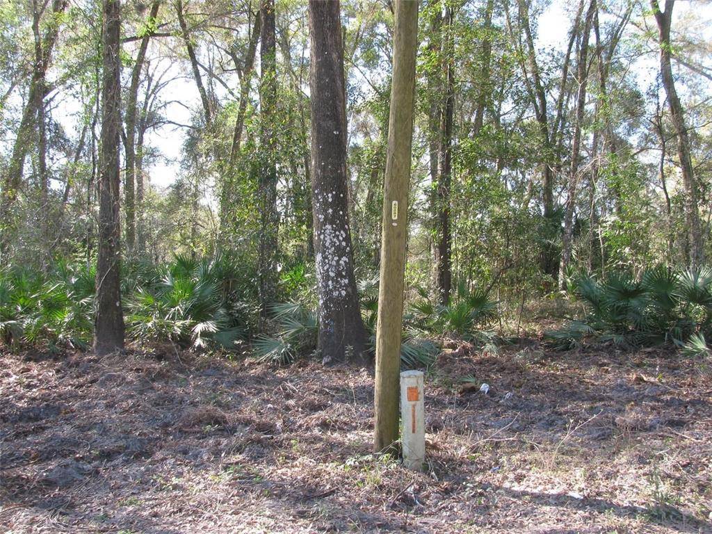 Summerfield, FL 34491,0000 SE 143RD PL #12