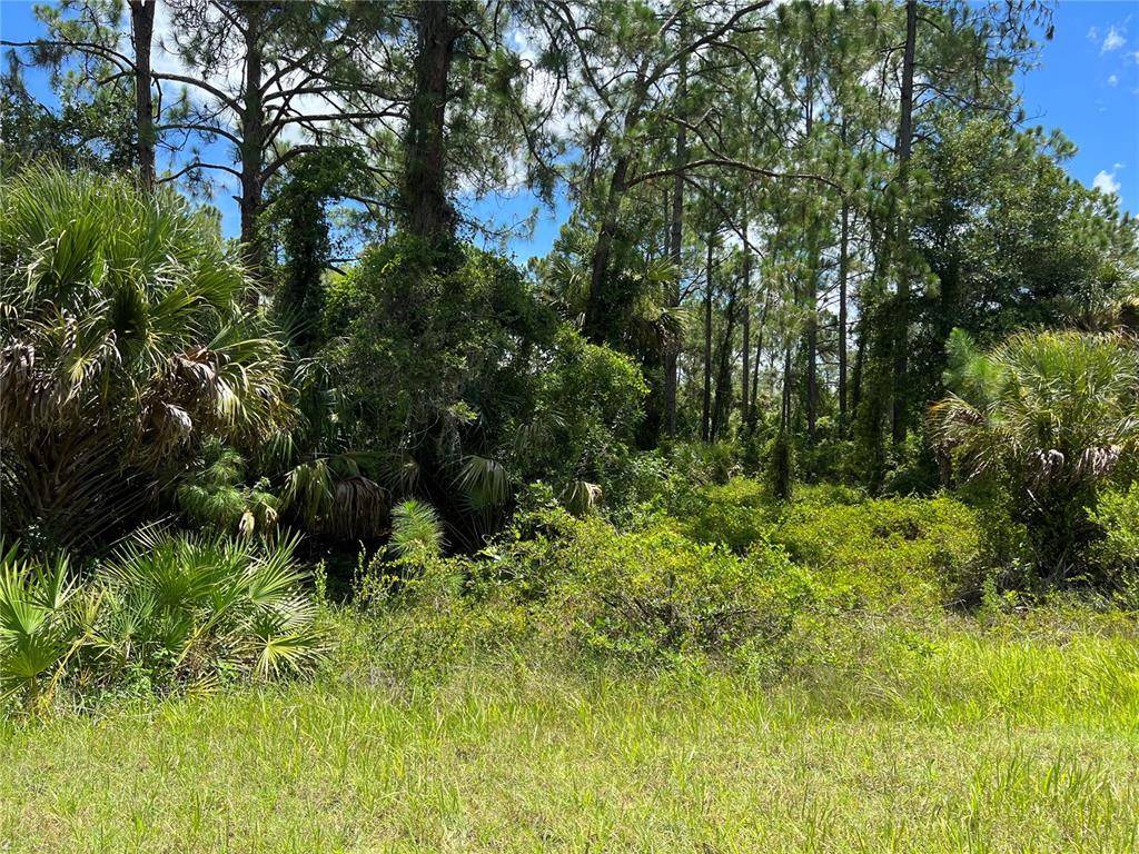 Lehigh Acres, FL 33972,1846 HONDURAS LOOP