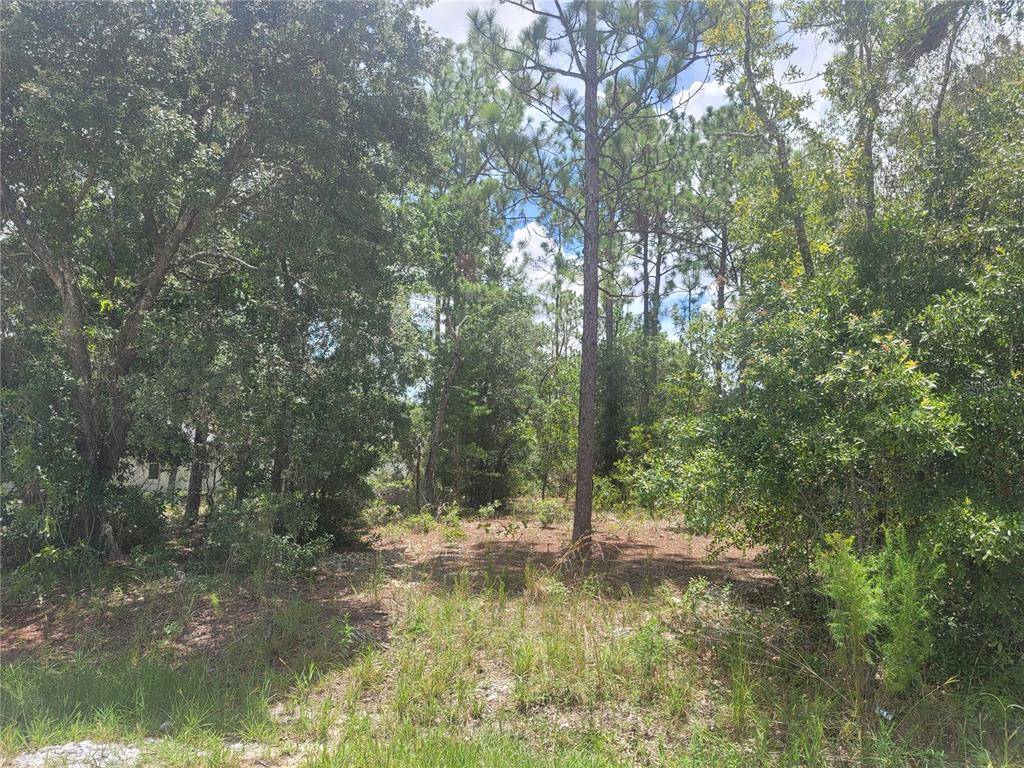 Summerfield, FL 34491,TBD SE 161ST ST