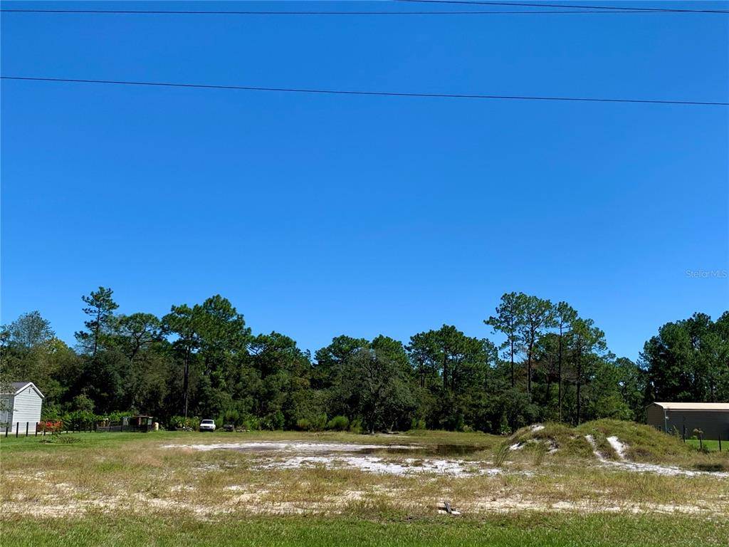 Eustis, FL 32736,Lot 10 ROYAL TRAILS RD