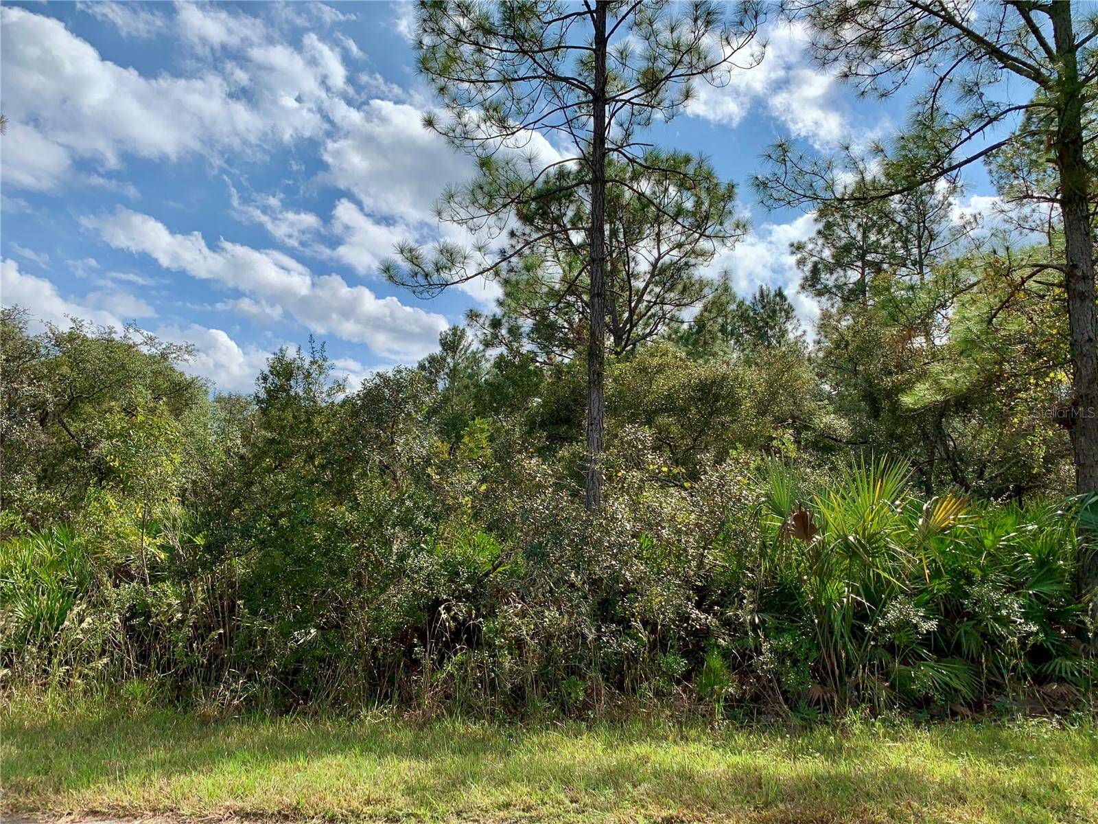 Eustis, FL 32736,Lot 4 W BLUEBELL AVE