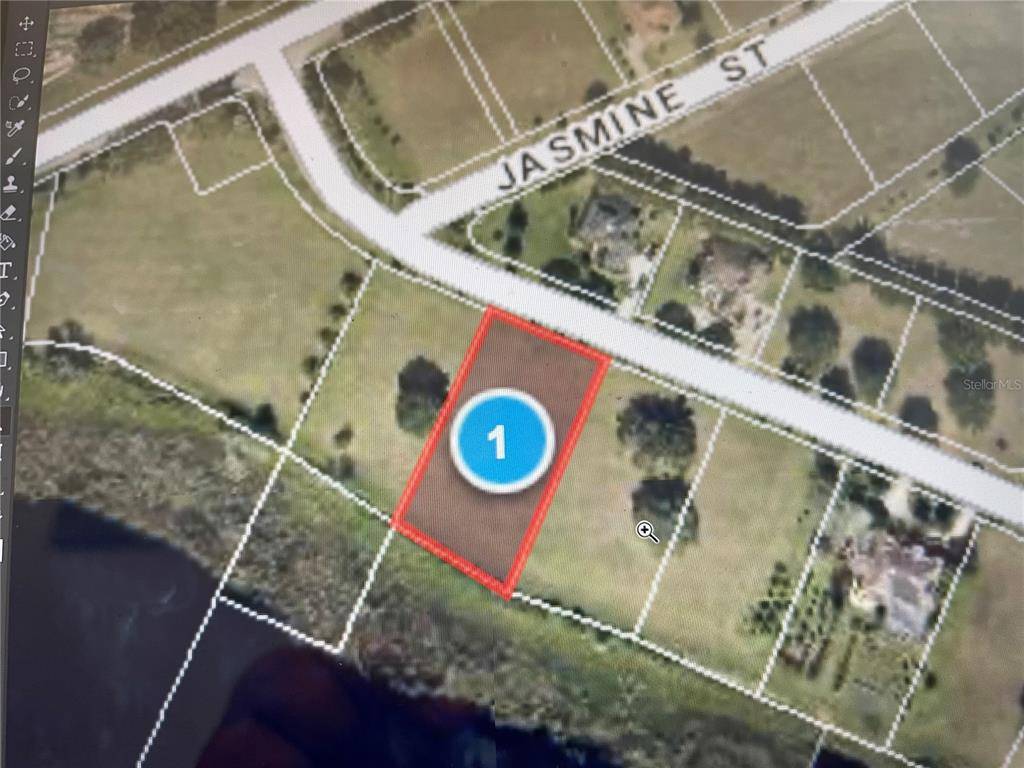 Groveland, FL 34736,ROYAL PALM DR