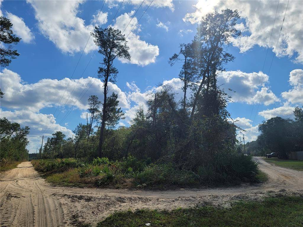 Altoona, FL 32702,TBD RABBIT RD