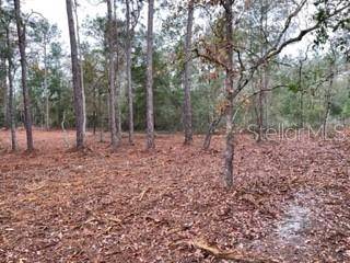 Satsuma, FL 32189,423 QUAIL HOLLOW RD