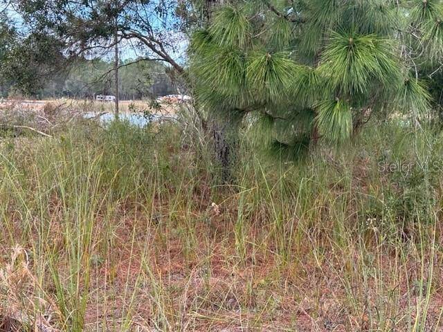 Webster, FL 33597,OTTER DR #LOT 0570