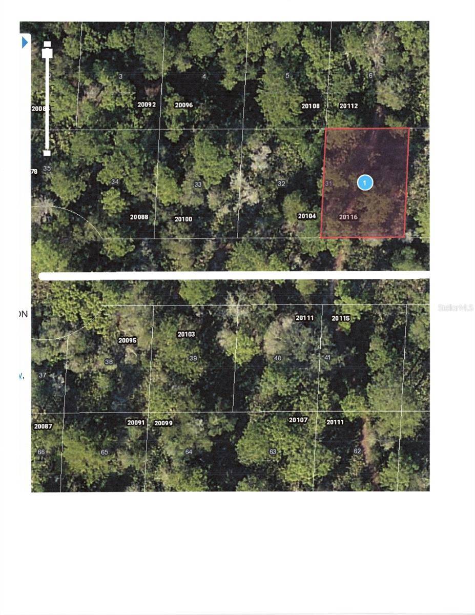 Mount Dora, FL 32757,LOT 31 CHASE CT