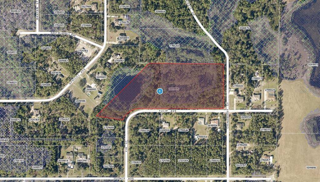 Eustis, FL 32736,TULIP AVE