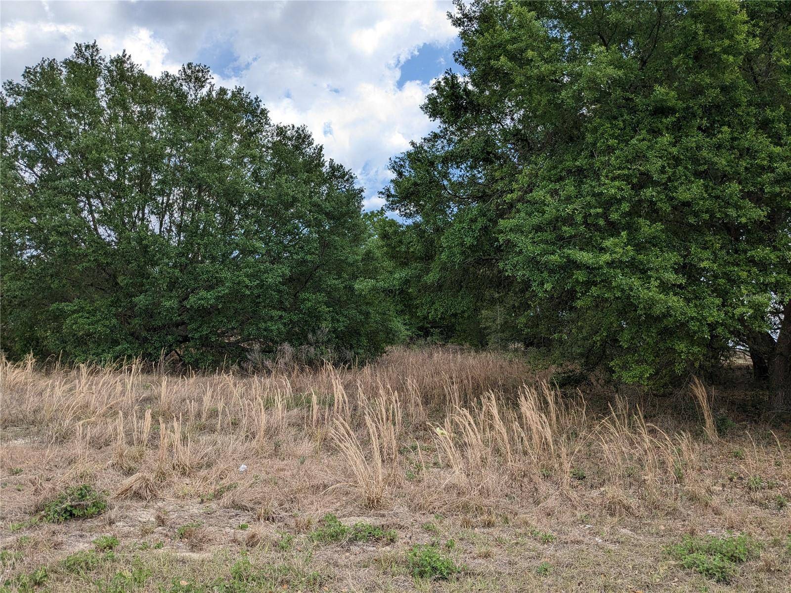 Weirsdale, FL 32195,TBD S HWY 25