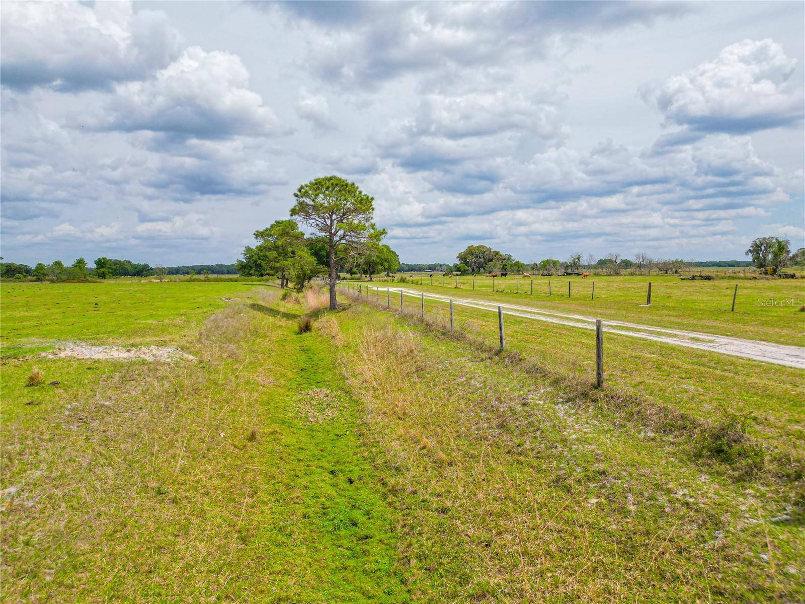 Lake Panasoffkee, FL 33538,N C 470