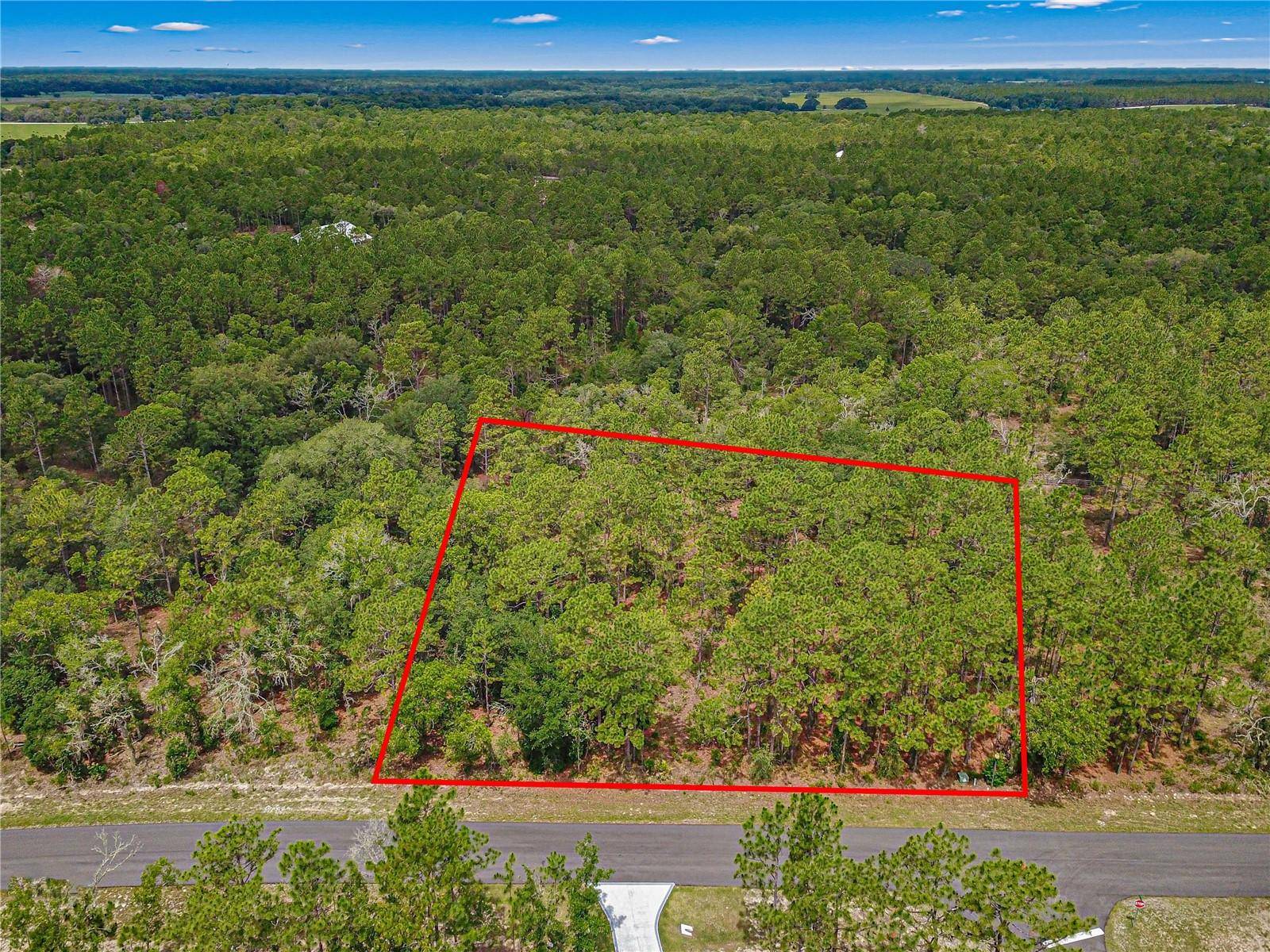 Wildwood, FL 34785,TBD COUNTY ROAD 243B