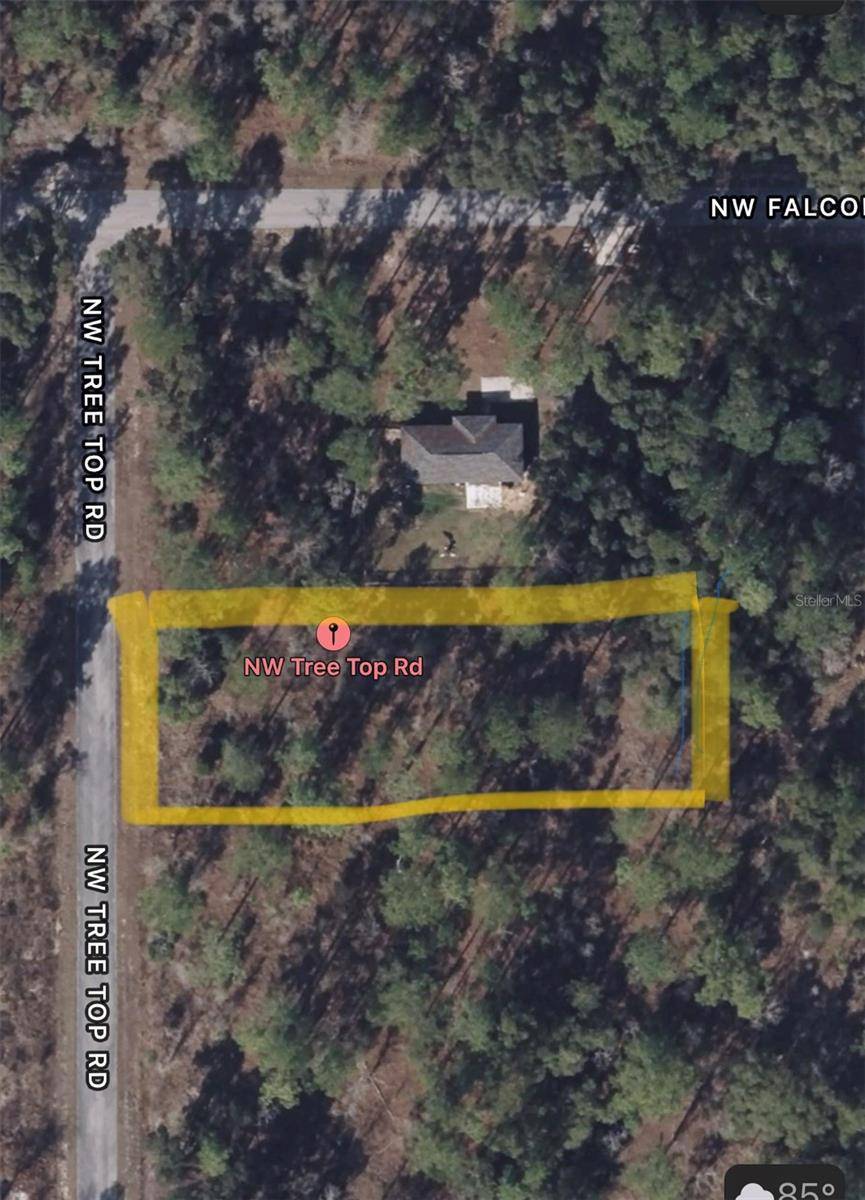 Dunnellon, FL 34431,NW TREE TOP RD