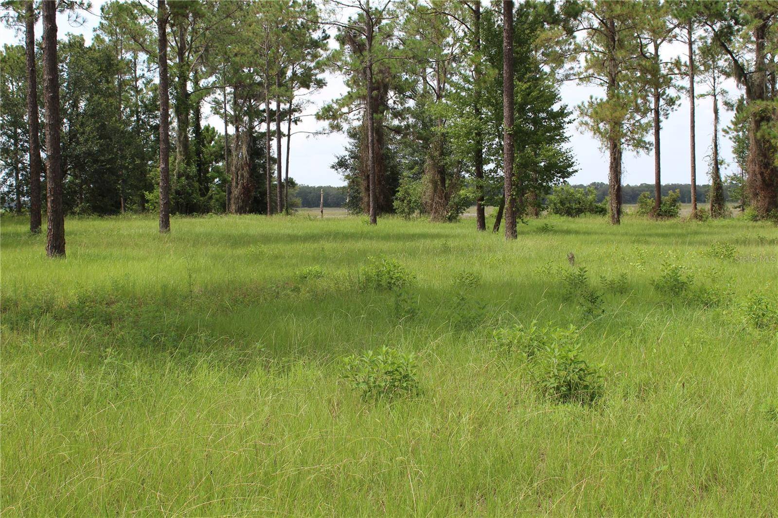 Groveland, FL 34736,Lot 33 BONSMARA DR