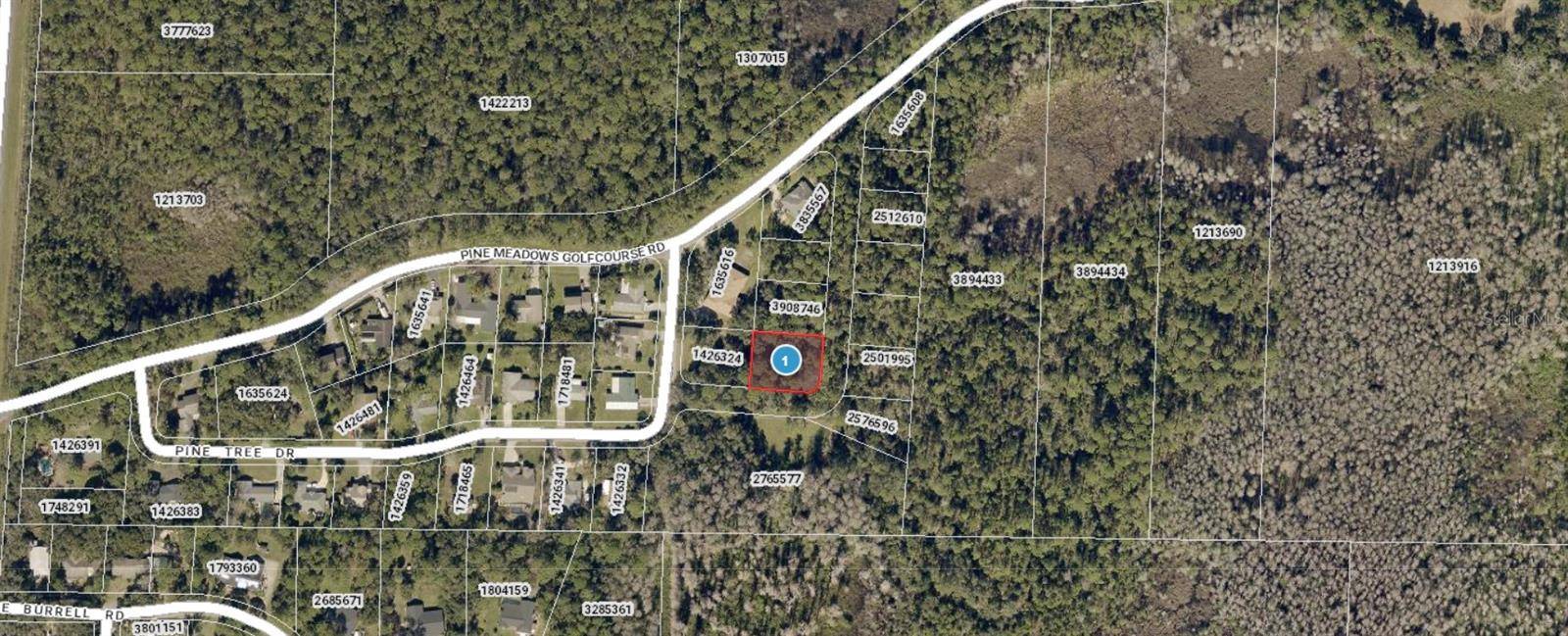 Eustis, FL 32726,PINE TREE DR