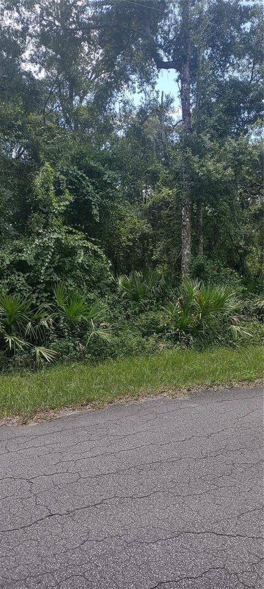 Webster, FL 33597,11895 CR 682