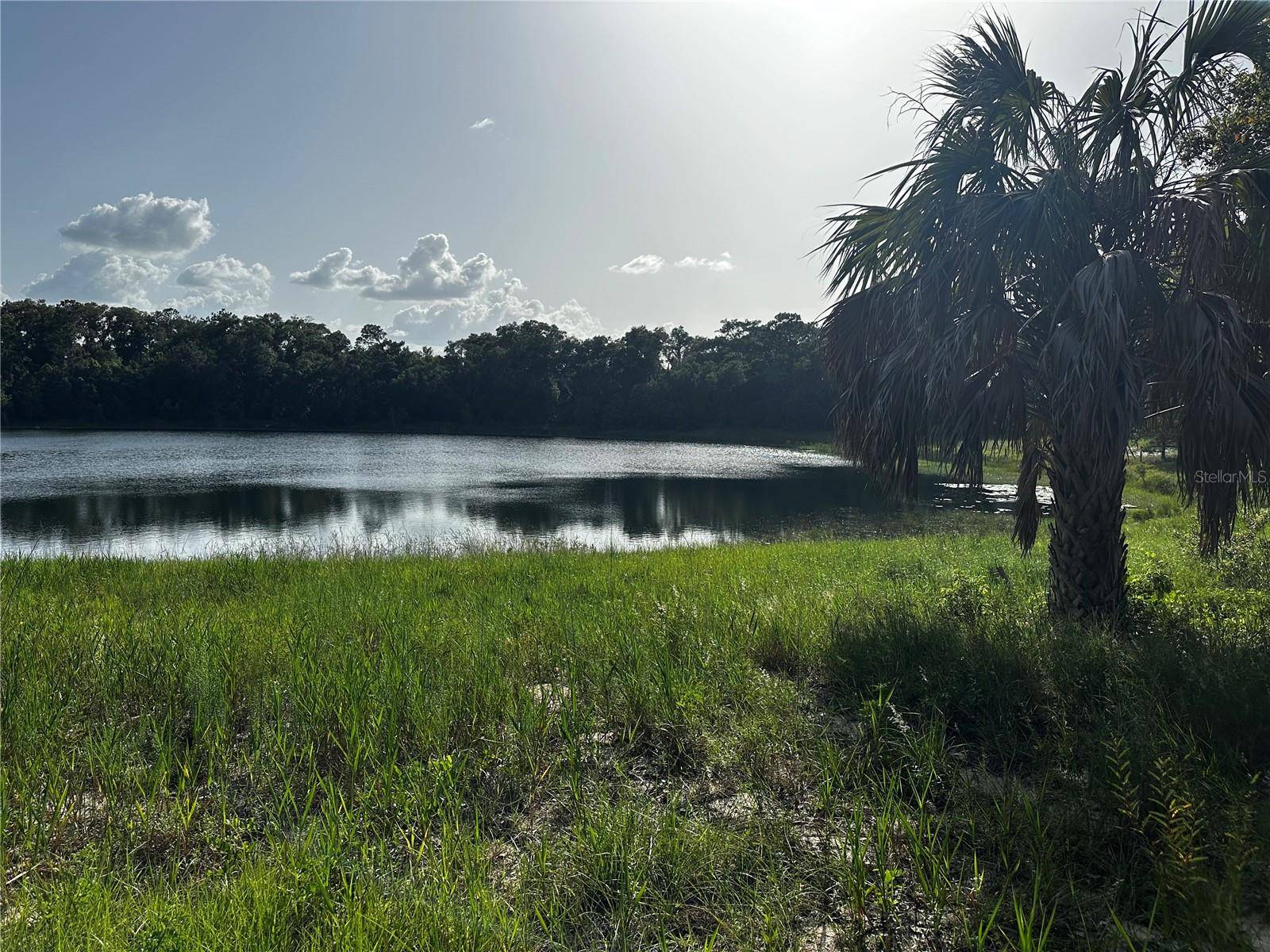 Ocklawaha, FL 32179,000 MALAUKA LOT 20 LOOP