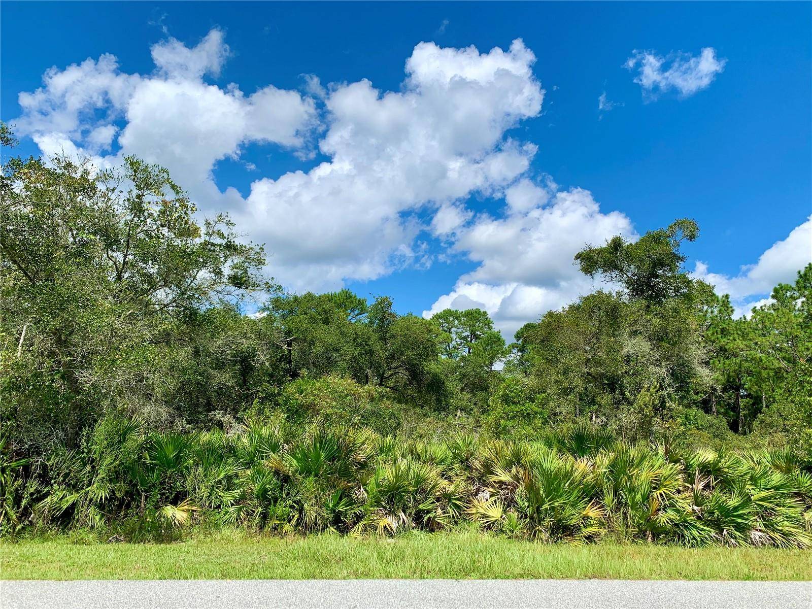 Eustis, FL 32736,LOT 1 TAMARAC ST