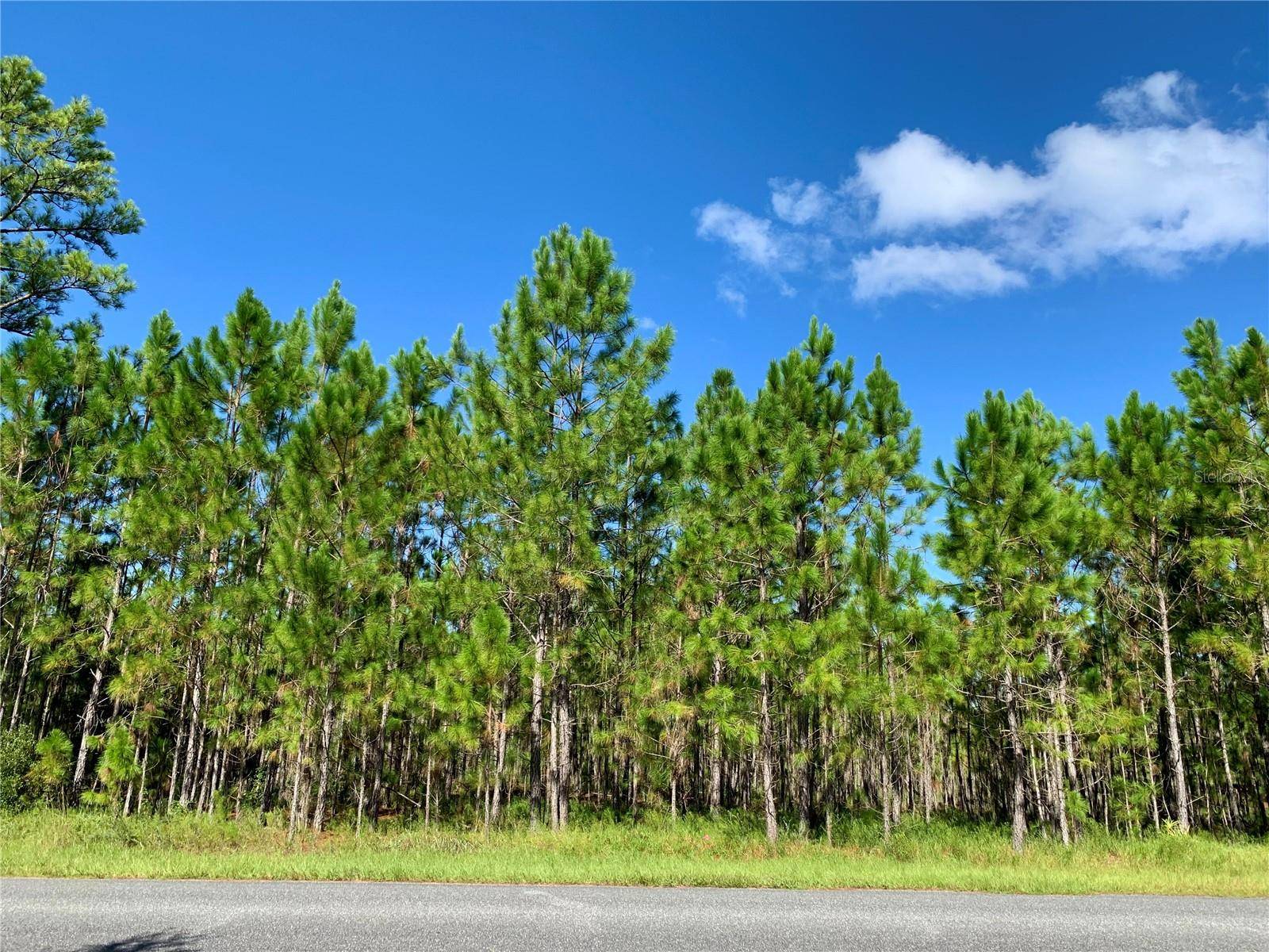 Eustis, FL 32736,LOT 8, 9 JERICHO TRL