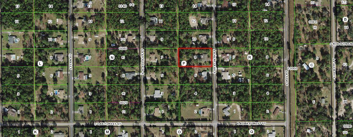 Floral City, FL 34436,12262 S HYACINTH PT