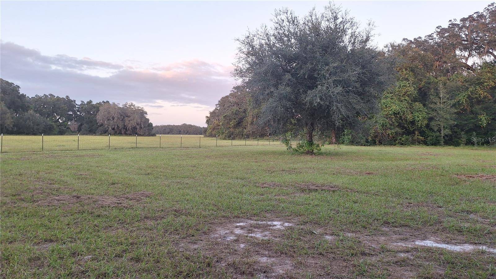 Bushnell, FL 33513,1826 SE 44TH PL