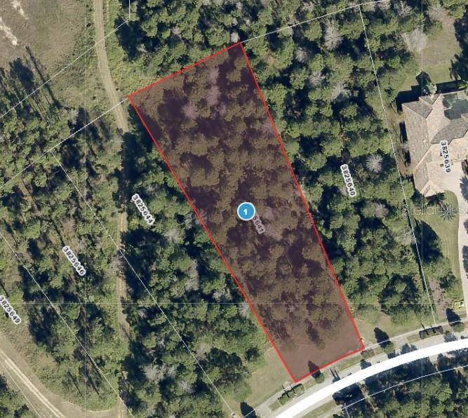 Montverde, FL 34756,16036 PENDIO DR