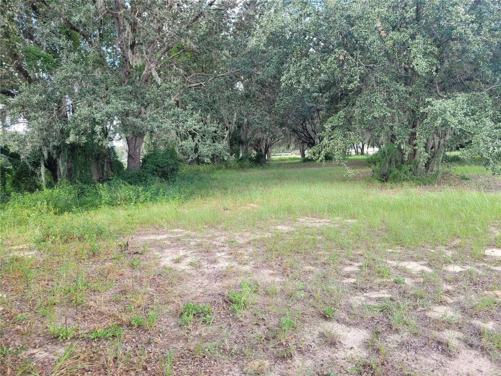 Grand Island, FL 32735,13442 SUGARSAND RD