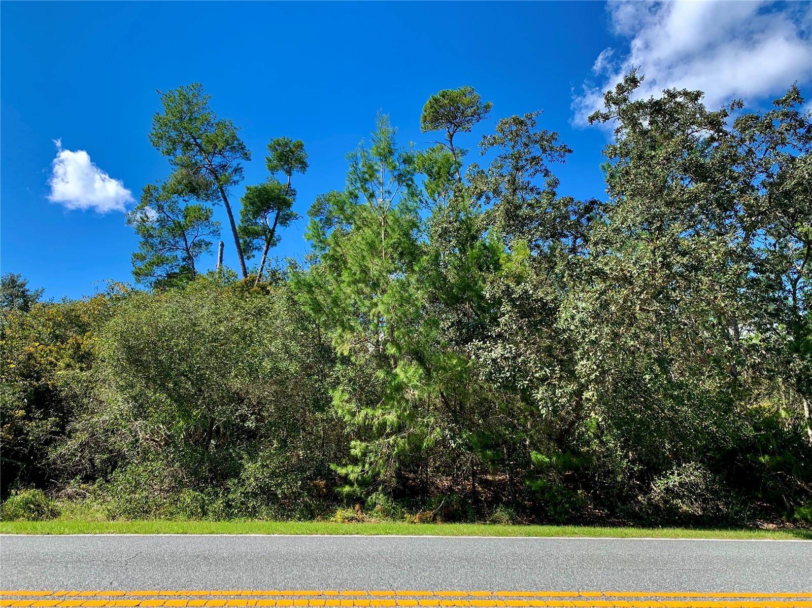 Eustis, FL 32736,LOT 12, 13 ROYAL TRAILS RD