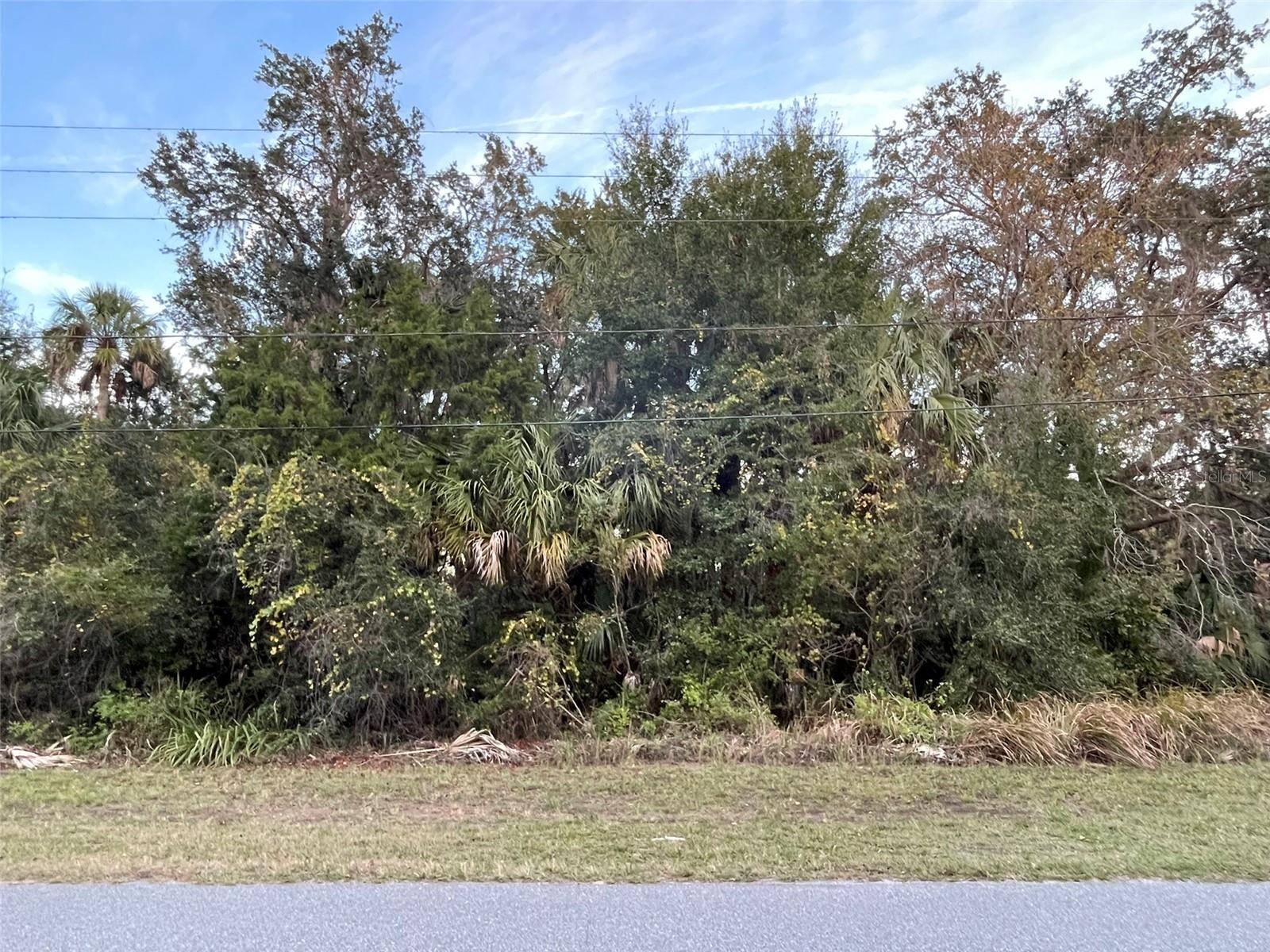 Homosassa, FL 34448,11631 W TIMBERLANE DR