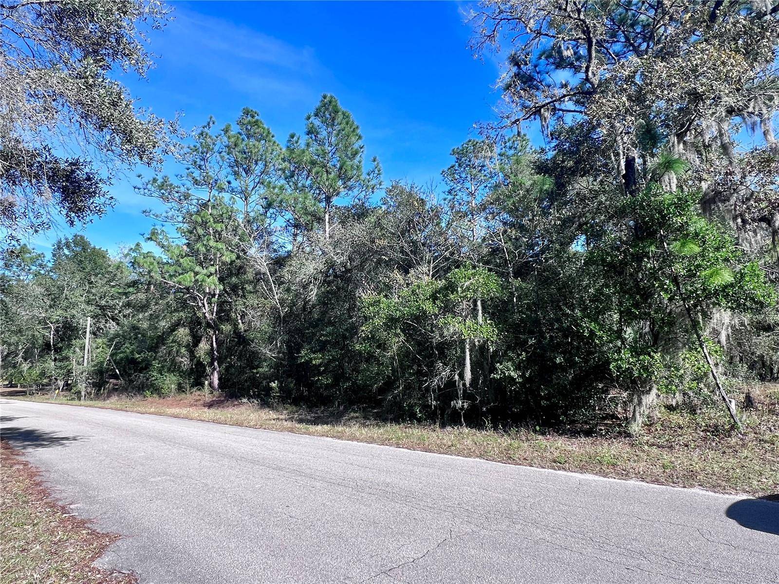 Dunnellon, FL 34431,TBD SW 209TH COURT RD