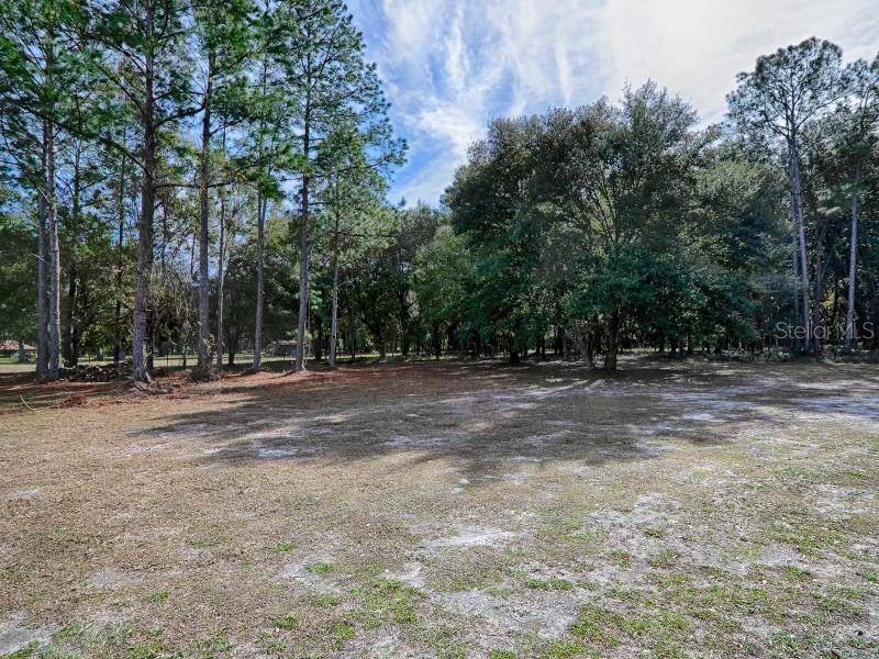 Bushnell, FL 33513,TBD CR 614A