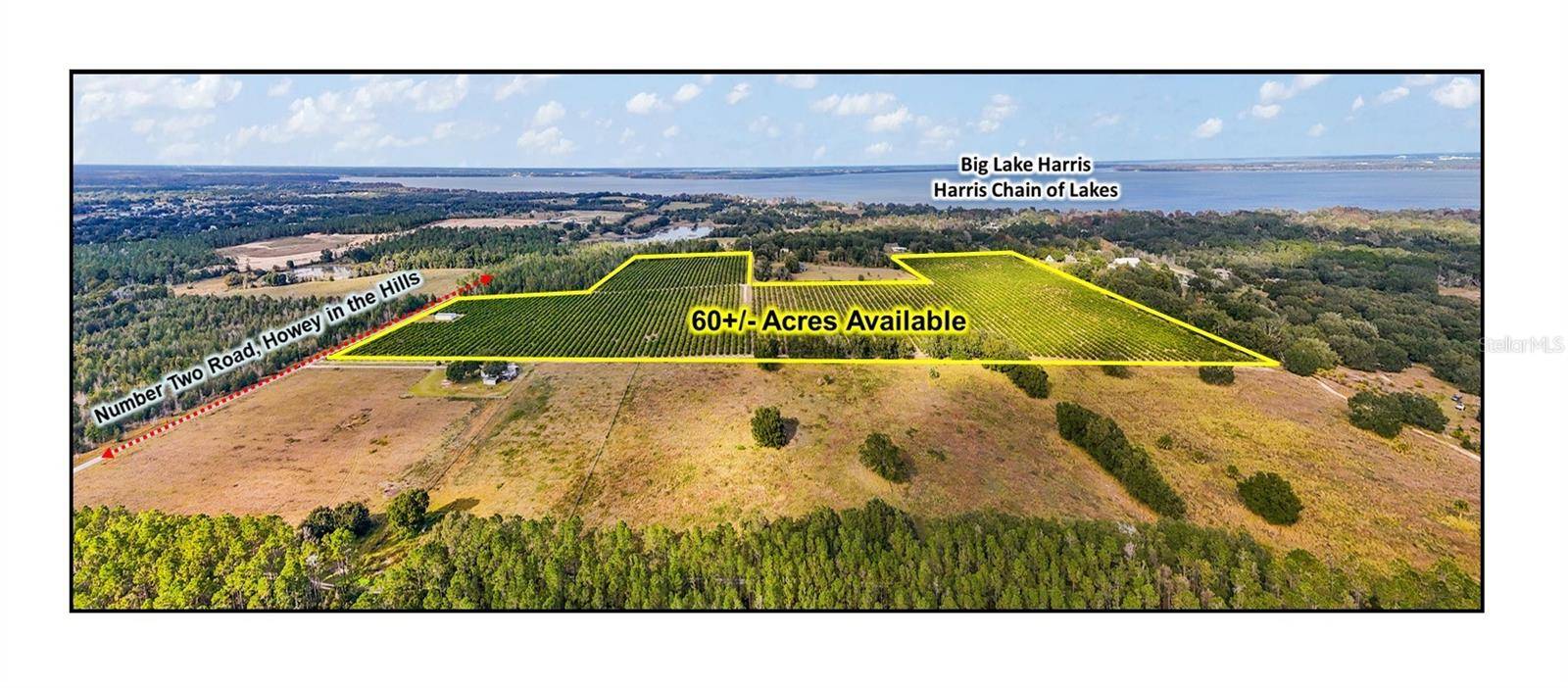 Howey In The Hills, FL 34737,7285 NUMBER 2 RD