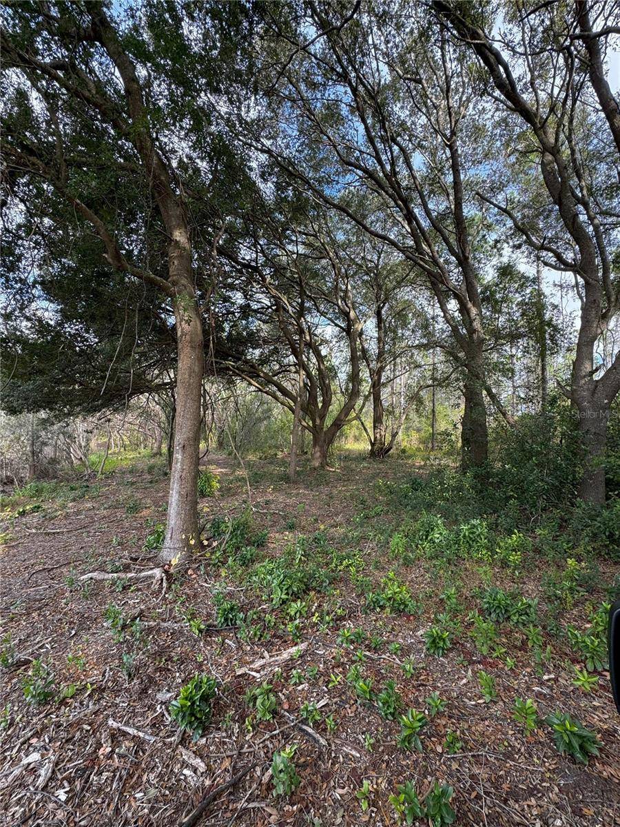 Altoona, FL 32702,KEENE RD LOT 5