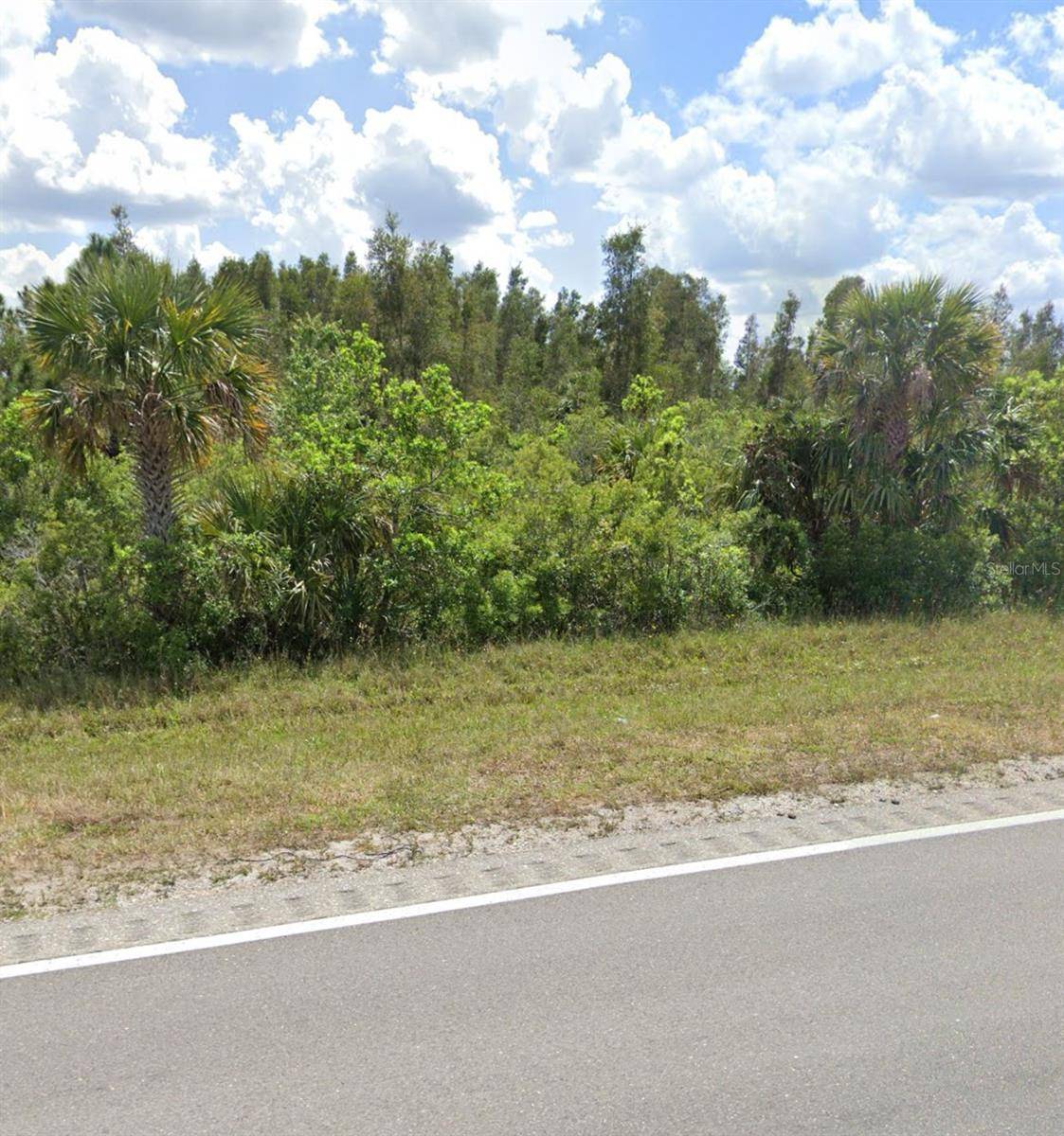 Punta Gorda, FL 33982,49573 BERMONT RD #0