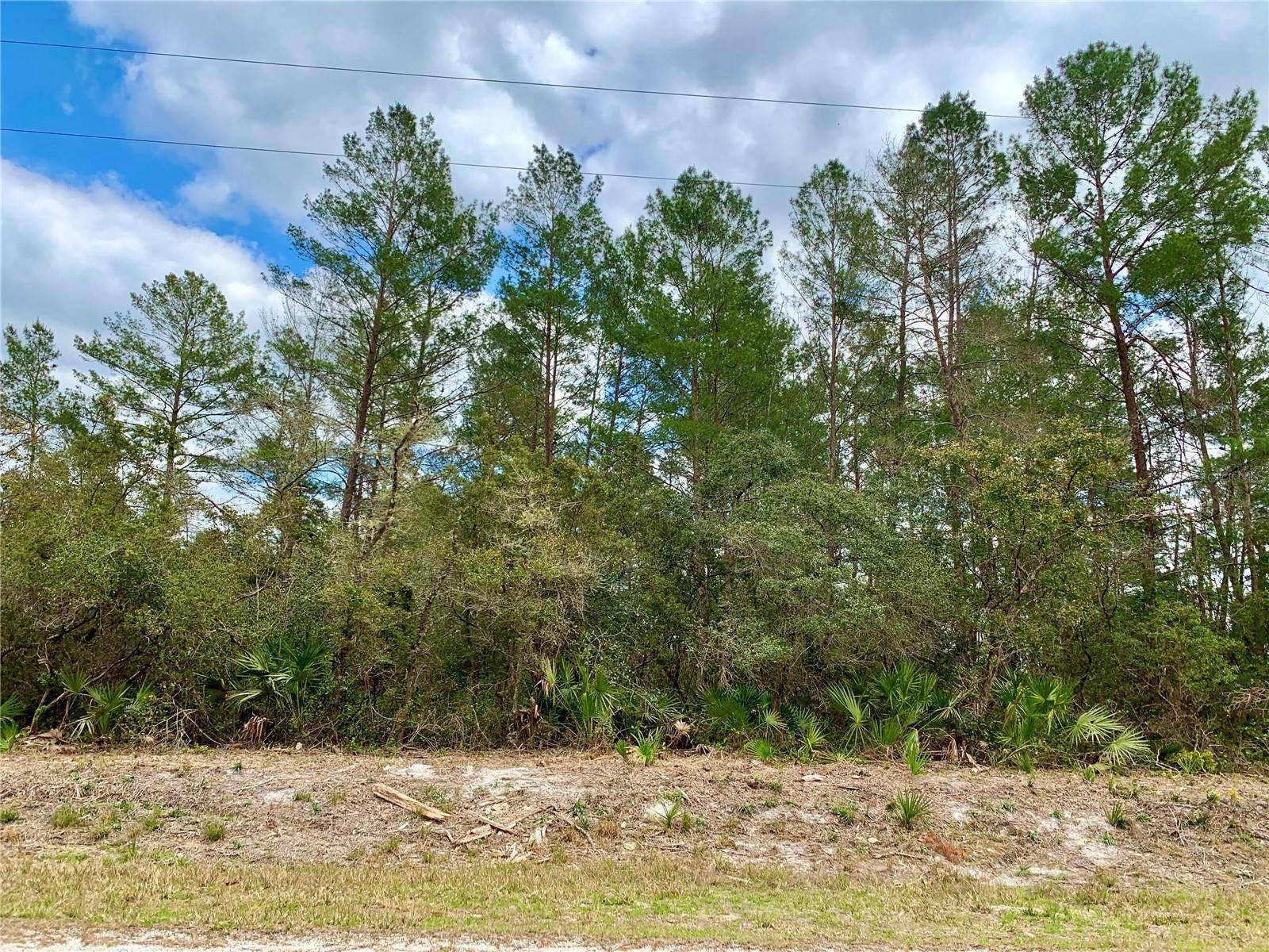 Eustis, FL 32736,LOT 3 CHINABERRY ST