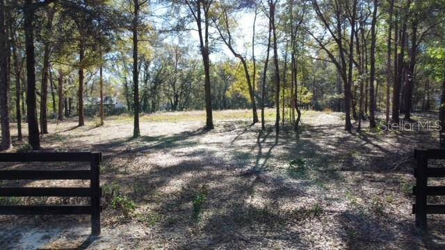 Lady Lake, FL 32159,39536 WOODGATE LN