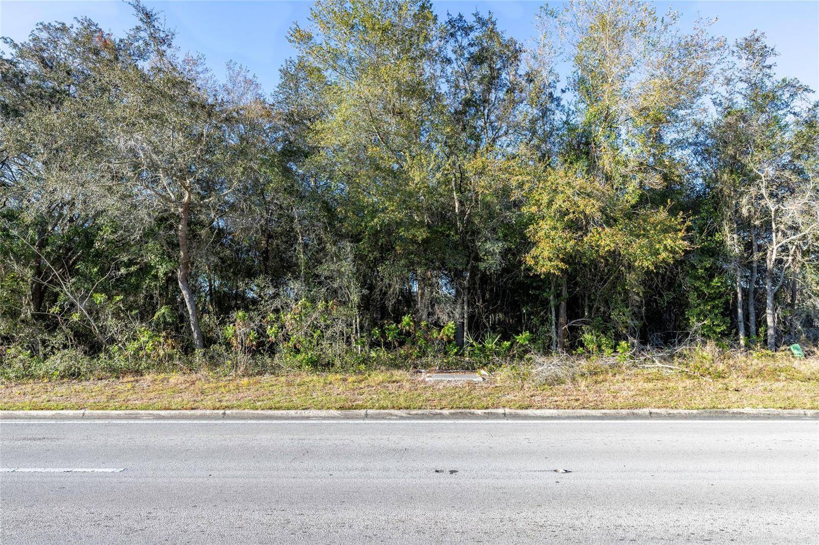 Summerfield, FL 34491,HIGHWAY 42 HWY