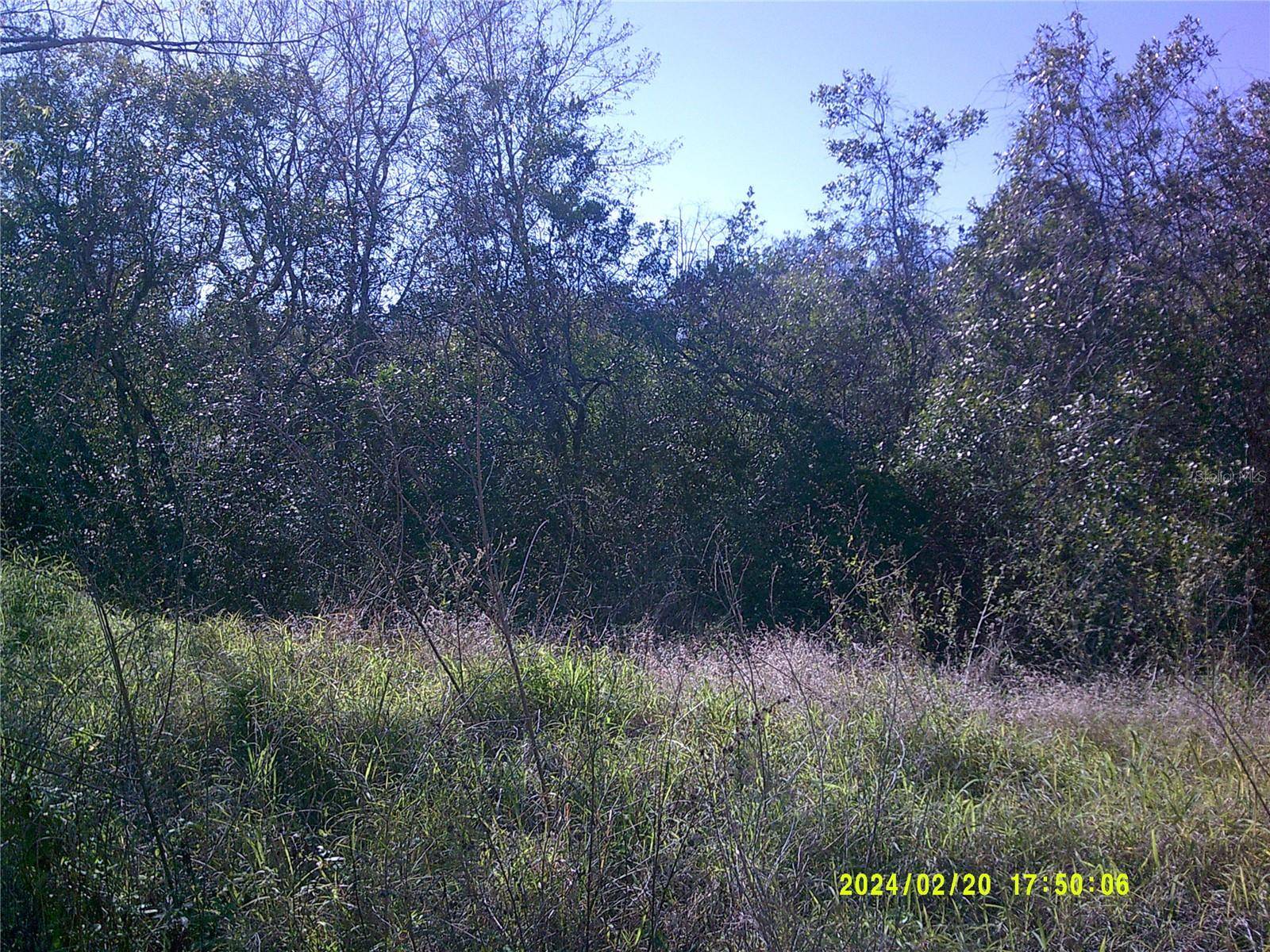 Clermont, FL 34711,S BOGGY MARSH RD